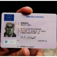 Buy Driver License online - European Docs Express image 1
